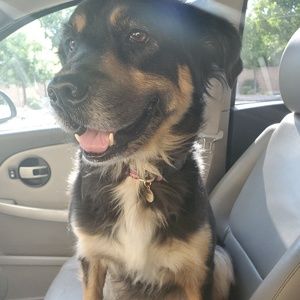 Meet your Posher, Savannah